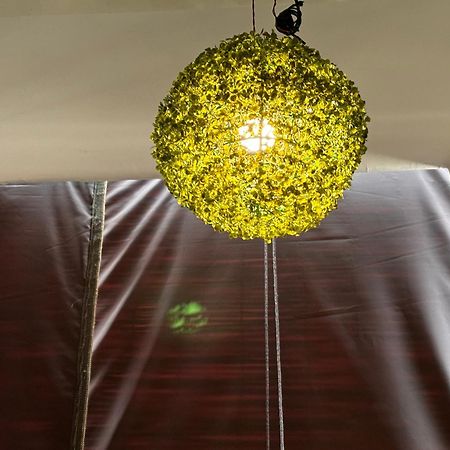 Rukmani Villas Group Of Rukmani Home Stay 마투라 외부 사진